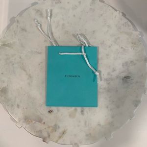 Brand new authentic small Tiffany & co bag